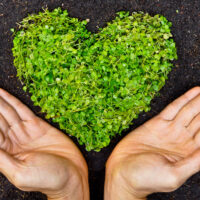 shutterstock_169292057